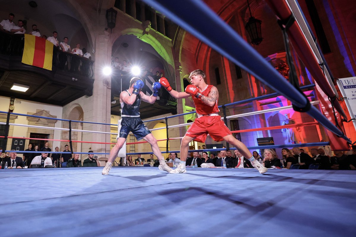 Andrew Bray tweet media