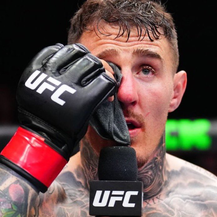 Kırmızı Köşe tweet media