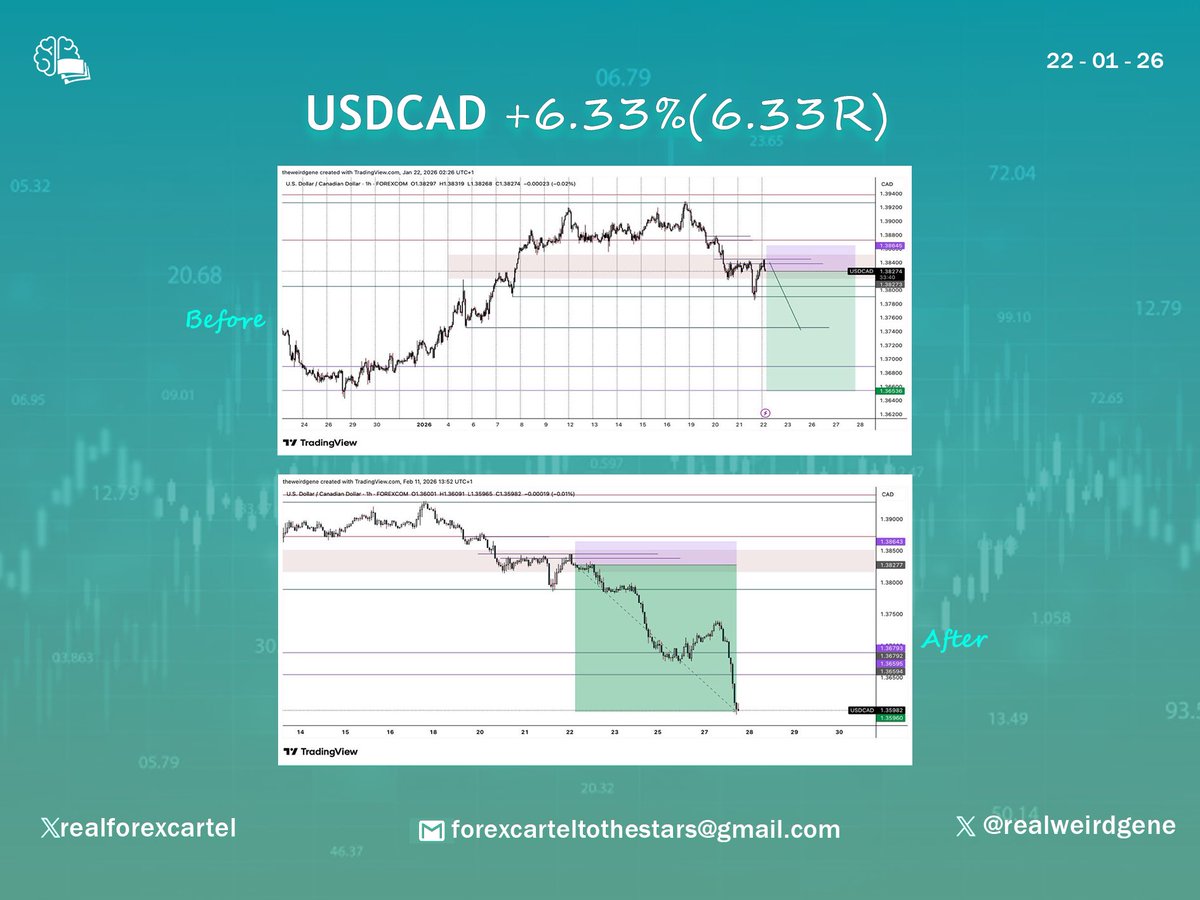 Forex Cartel tweet media