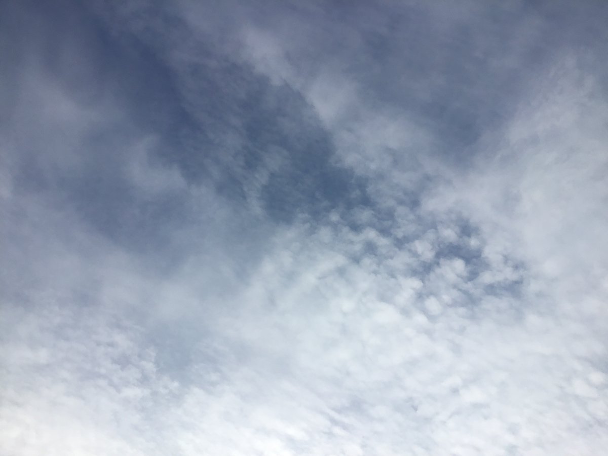 Discord_Miles91's tweet photo. more clouds owo https://t.co/KzizXyNzQf