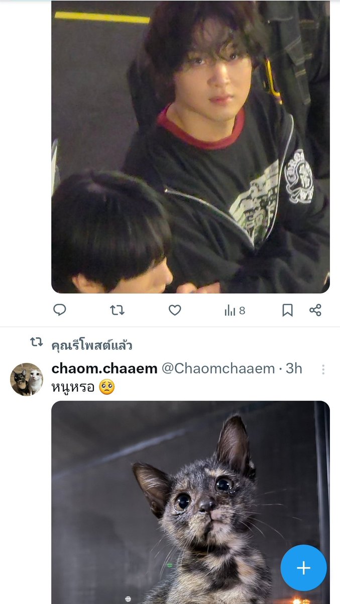 เย้ยยยยยยยยยยย🥺