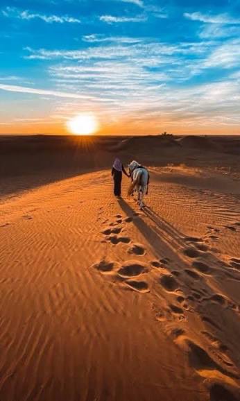 Ⓜ️ehmed tweet media