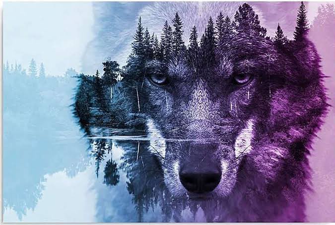 Ⓜ️ehmed tweet media