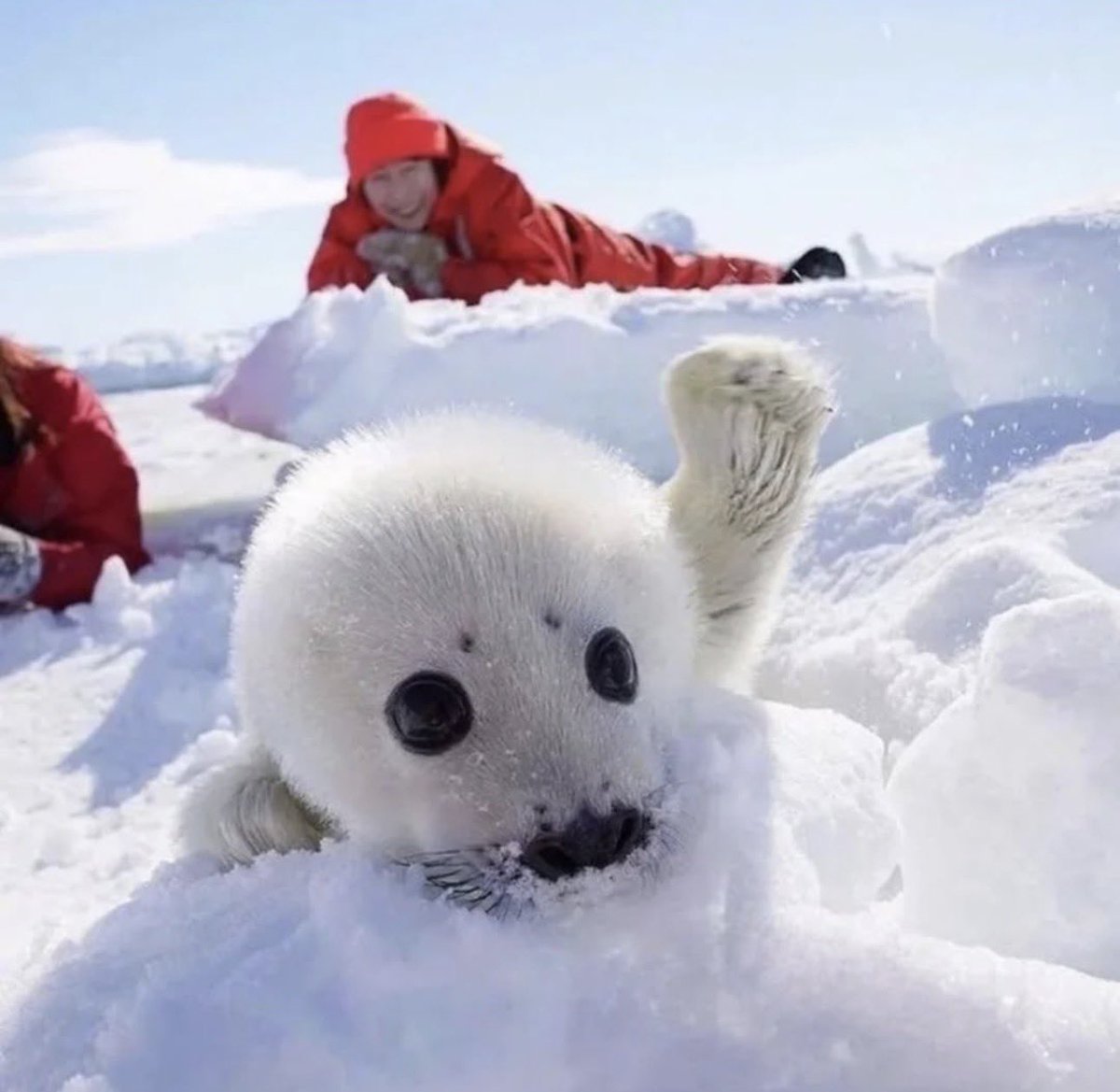 wait i have a question