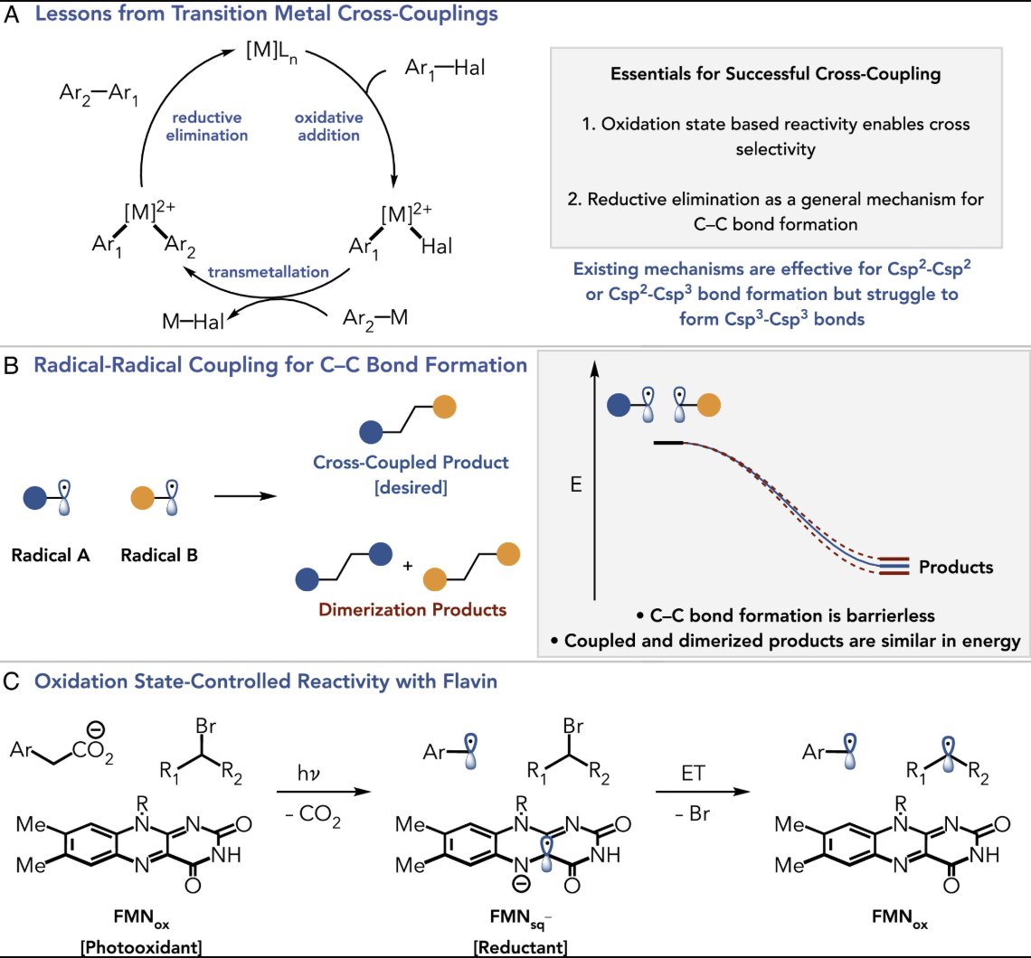 Princeton Chemistry tweet media