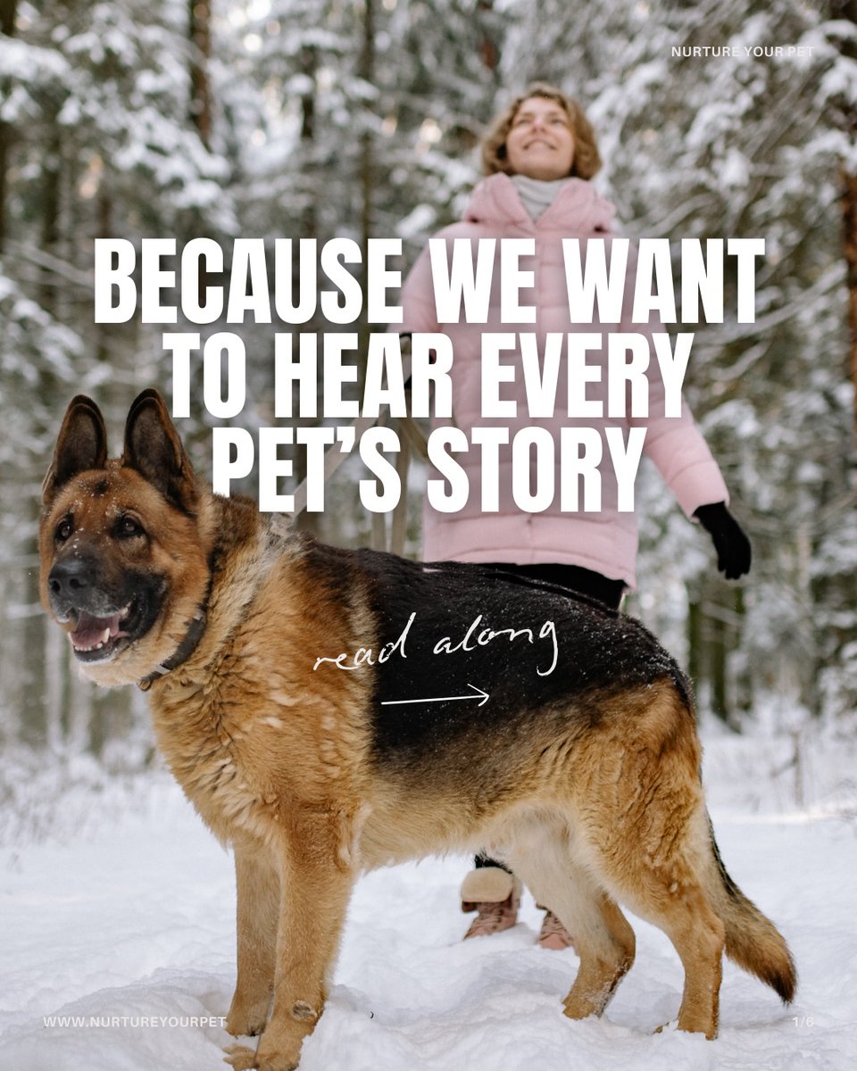 NurtureyourPet's tweet image. Every pet has a story 🐾🤍

The day you met. The habit that makes you laugh.
Your story could make someone smile or remind a pet parent they’re not alone.

Share yours &amp;amp; get featured 💌
nurtureyourpet.com/pages/share-yo…

#EveryPetHasAStory #PetStories #PetLove #PetsAreFamily