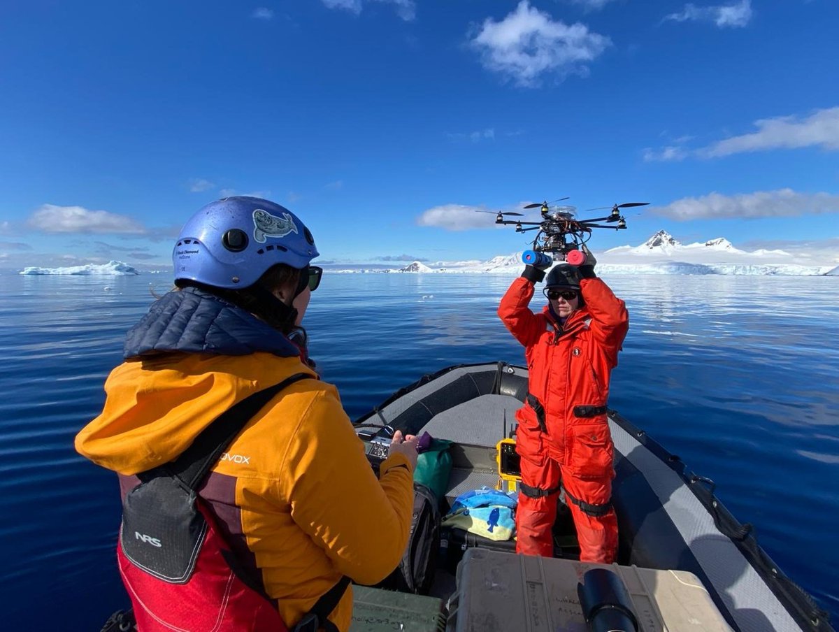 Lindblad Expeditions tweet media