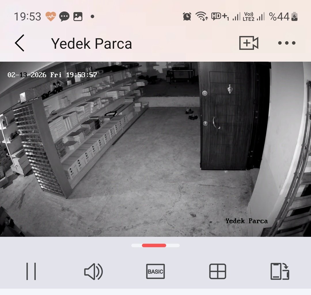 monica 🦬 tweet media