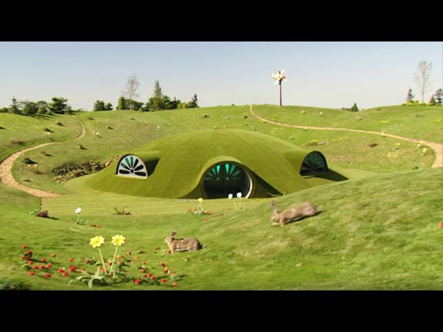 RealLifeFrog's tweet image. It has come to my attention that my pond sits upon a land owned by a world that no longer exists.