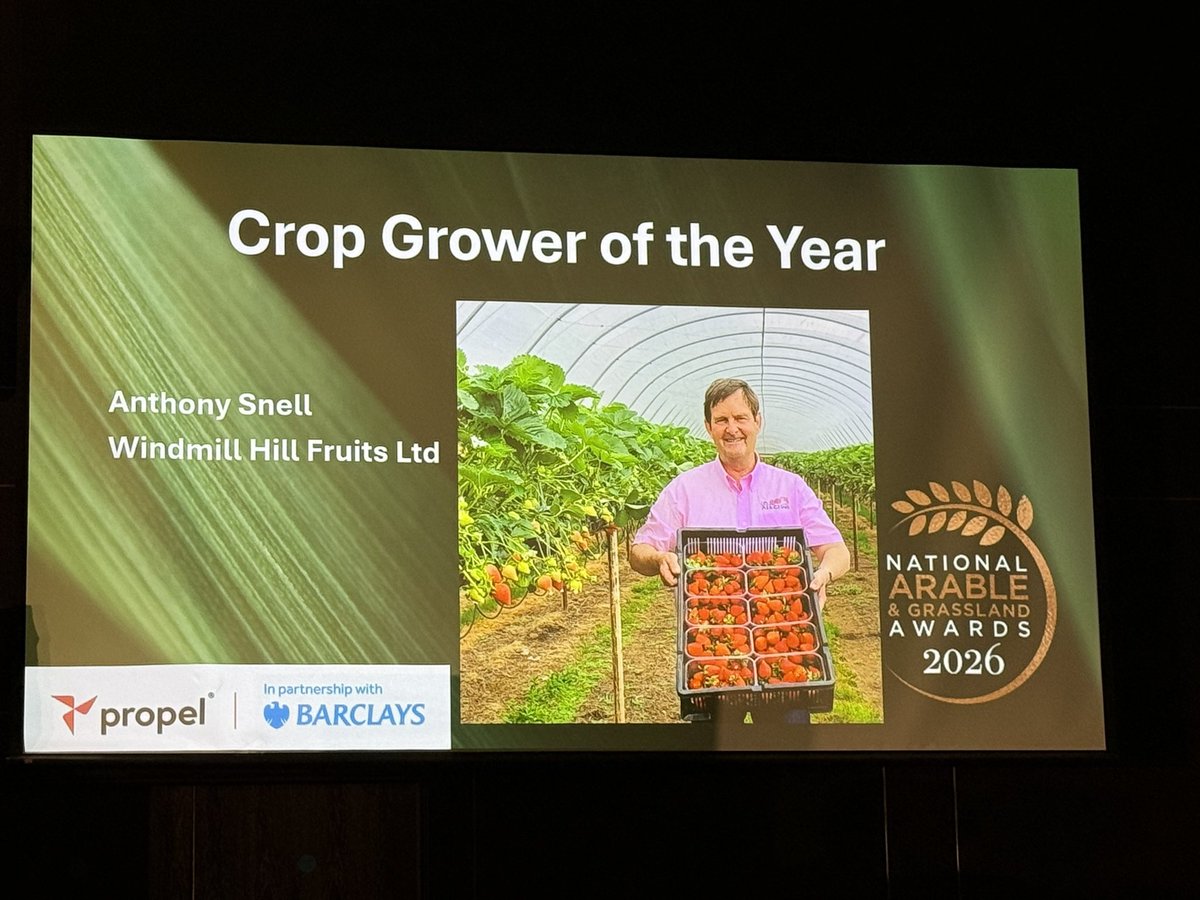 Anthony Snell tweet media