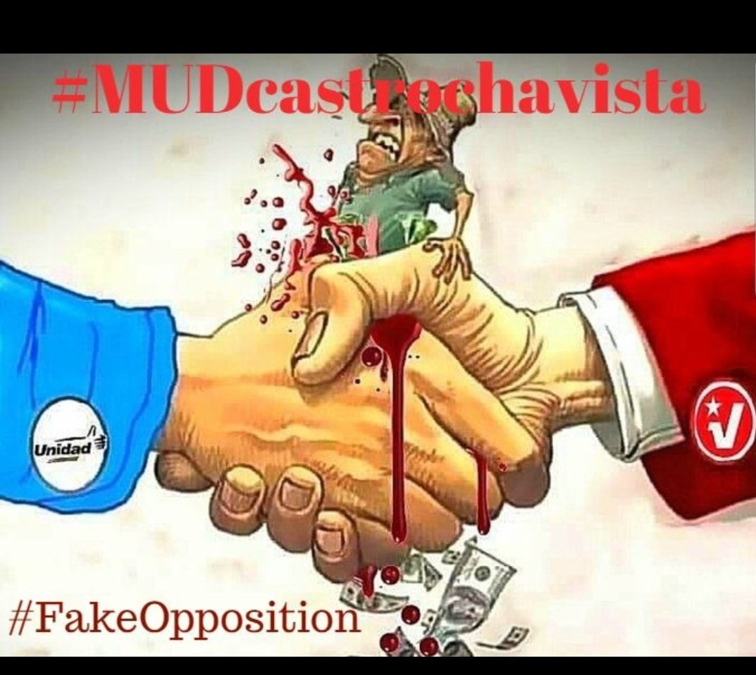 petfloresac's tweet image. 