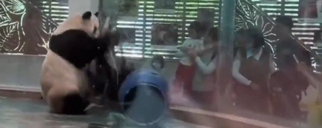 defiliquid tweet media