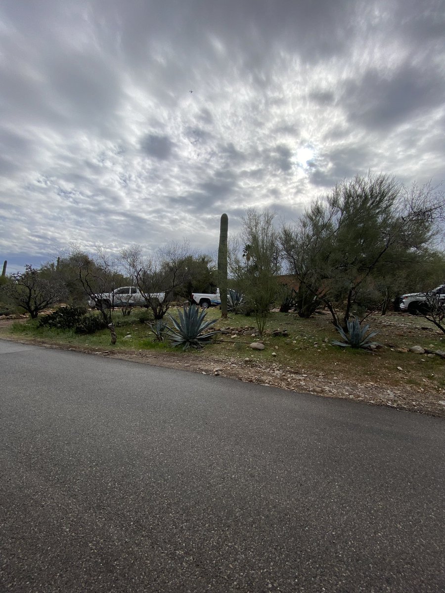 Danielle Miller FOX10 tweet media