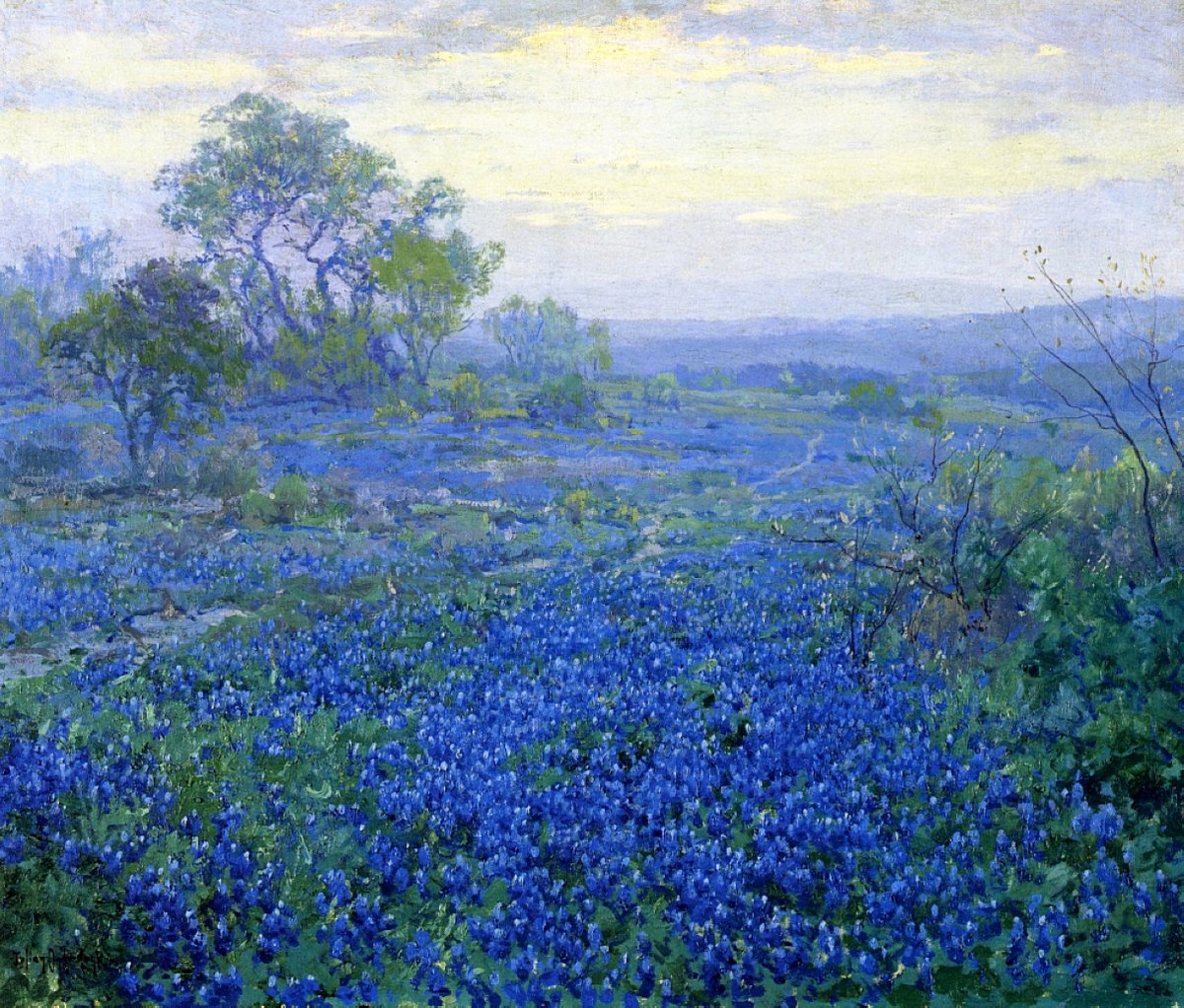 A Cloudy Day, Bluebonnets near San Antonio, Texas