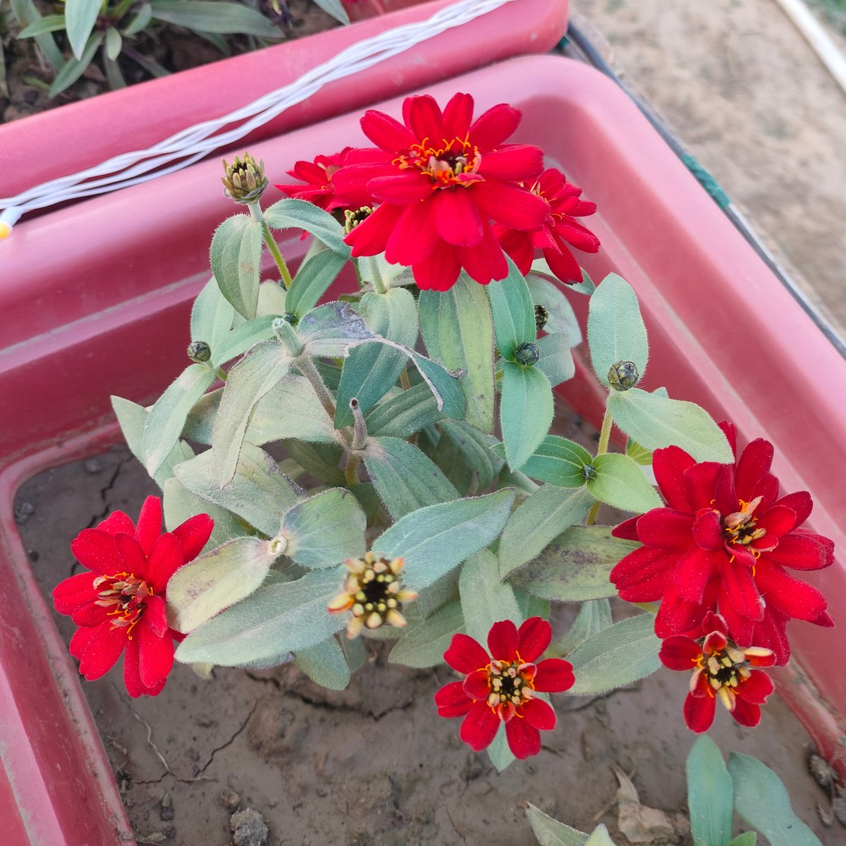 अक्सर लोग हमारा दिल दुखाते है,
और हम उन्हीं के बारे में सोचते रहते है..
कभी-कभी उन्हें रिहा कर देना चाहिए, जाने देना चाहिए...❤️

Good morning friends 🌻❤️