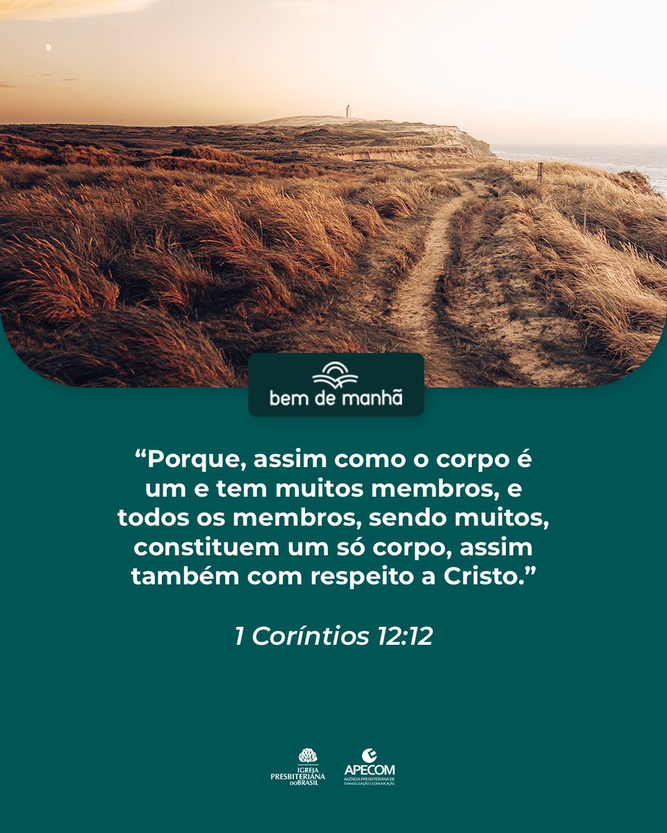 ipboficial's tweet photo. Bem de Manhã: Comece o dia meditando na sabedoria de Deus.

“Porque, assim como o corpo é um e tem muitos membros, e todos os membros, sendo muitos, constituem um só corpo, assim também com respeito a Cristo.”

1 Coríntios 12:12 https://t.co/4D7Vjx6aDG