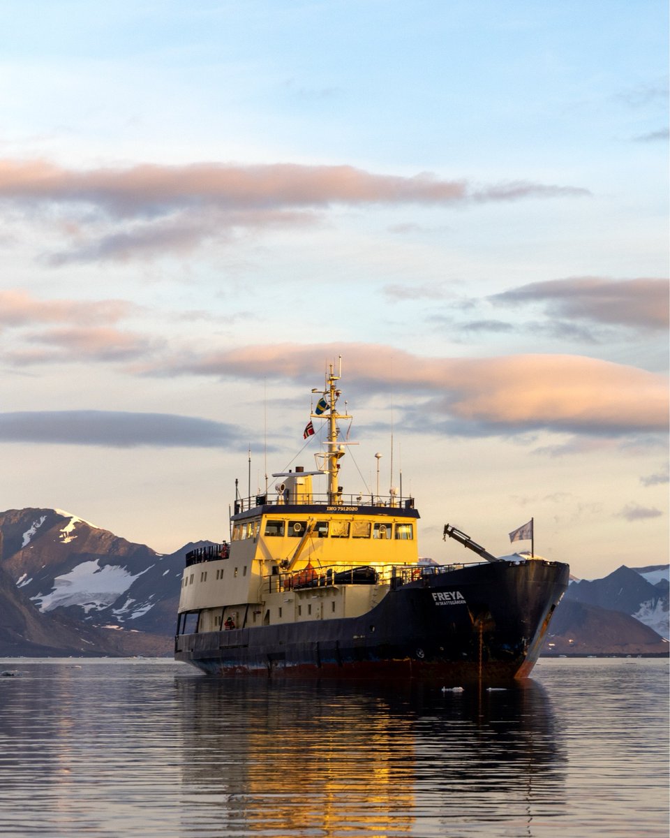 Secret Atlas tweet media