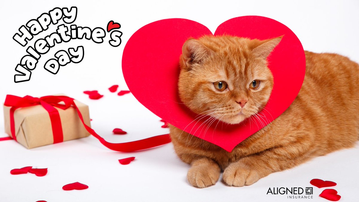 ALIGNEDonRisk's tweet image. Happy Valentine’s Day from ALIGNED Insurance! 💙🐾 Today, we celebrate our incredible team and clients—the heart of everything we do. Tag someone you appreciate and help us spread the love! 

#TeamALIGNED #ValentinesDay #Grateful #ClientFirst
alignedinsurance.com