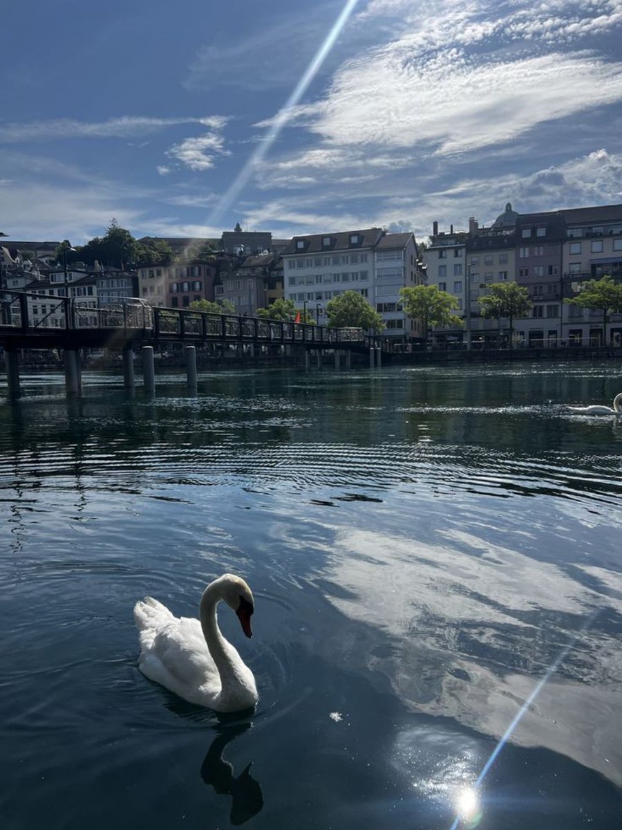 MozartCultures's tweet image. zurich, switzerland