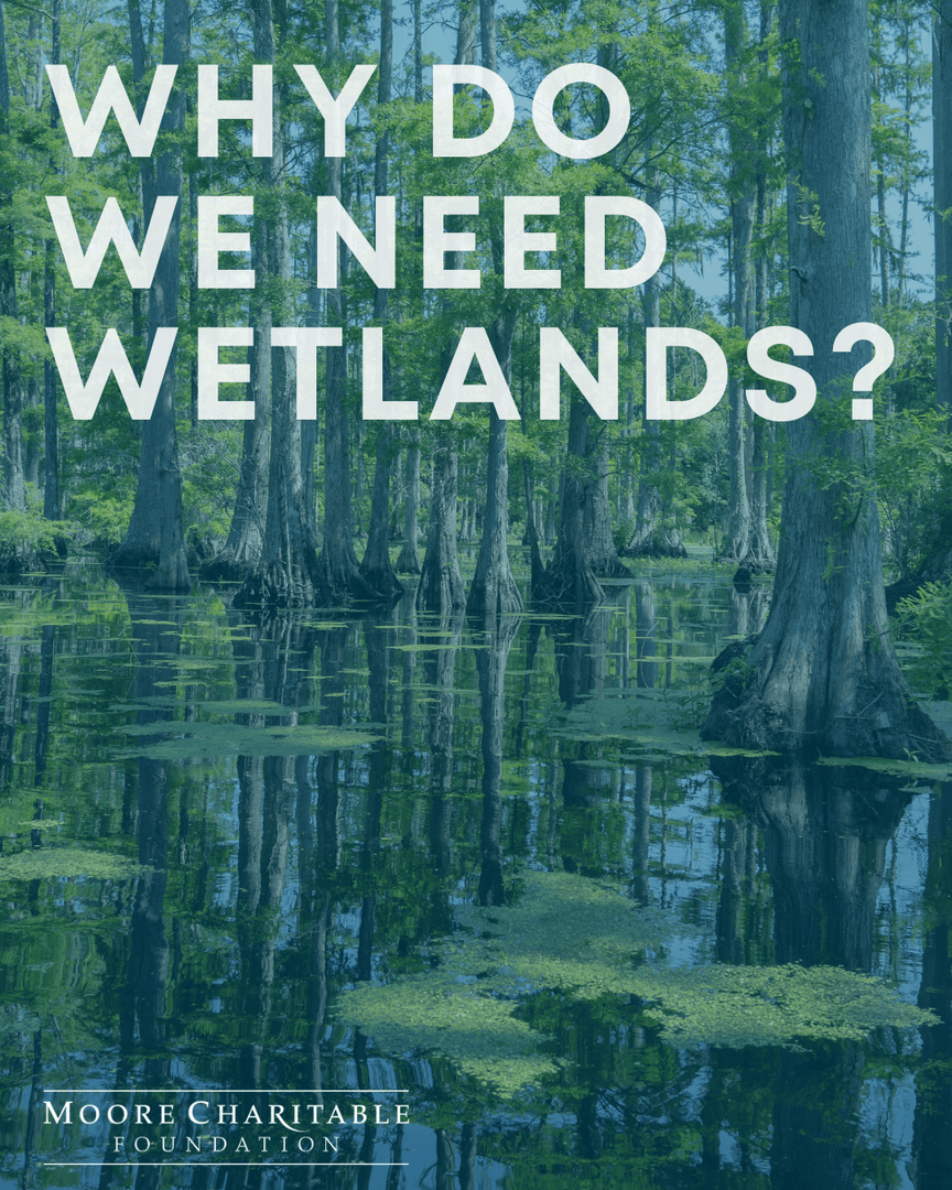 Moore Charitable tweet media