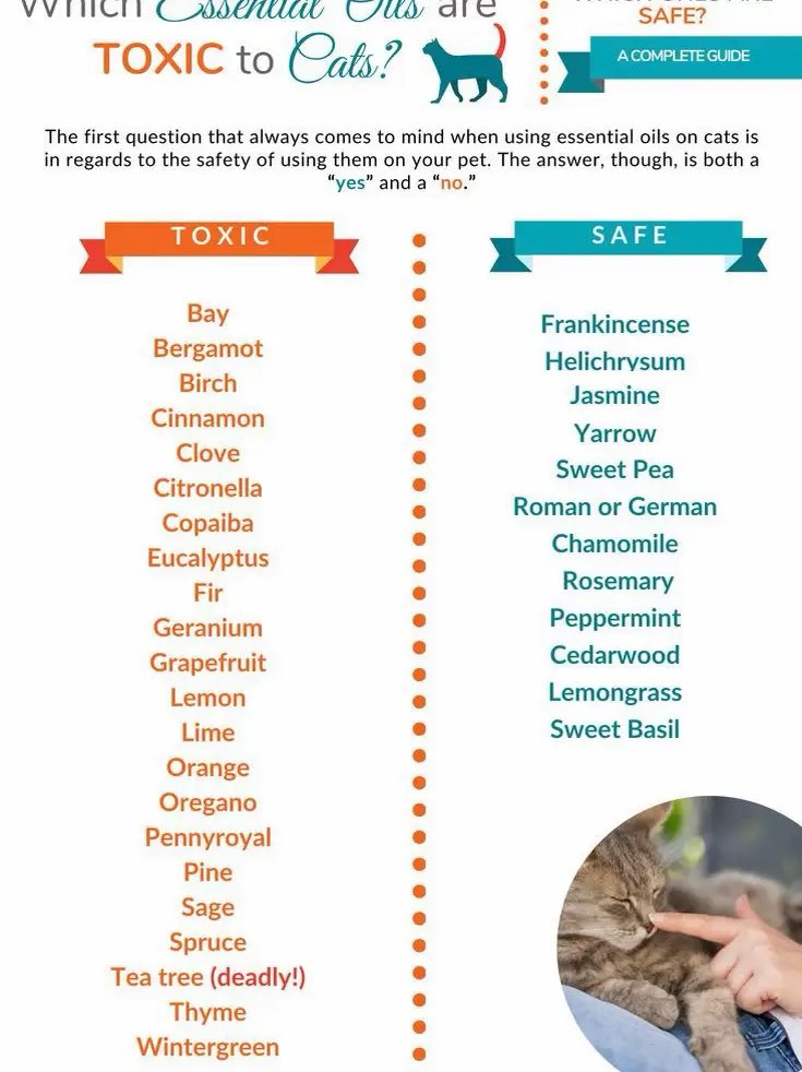 toxic vs non-toxic plants &amp; oils for cats: