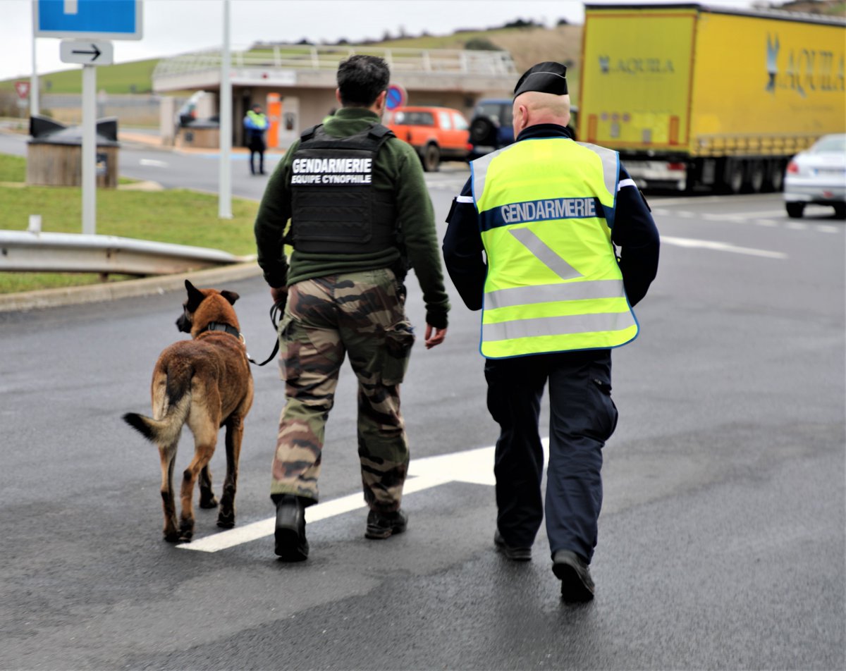 Préfète de l'Aveyron tweet media