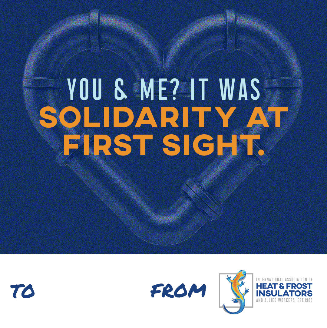 Insulators Union 🦎 tweet media