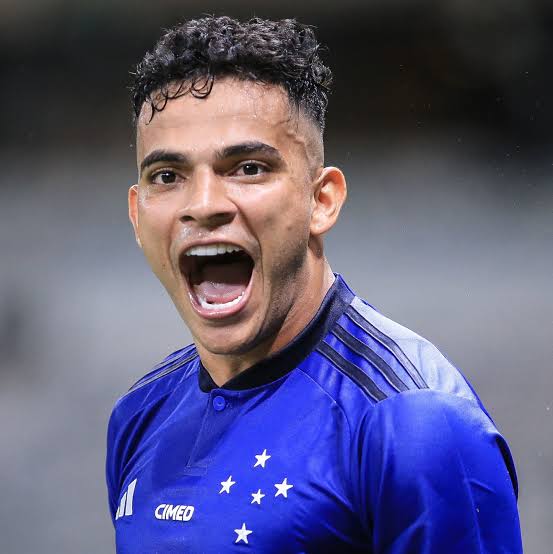 Cavalinho do Cruzeiro tweet media