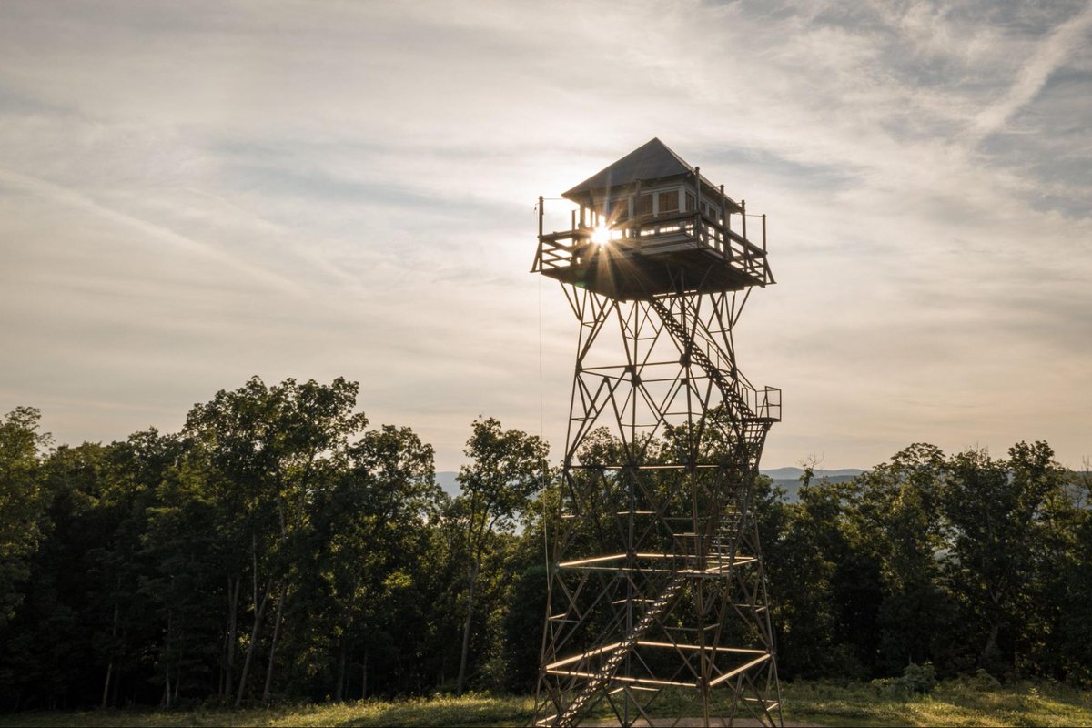 Hiking Seneca State Forest this weekend? You might smell "Christmas." 🌲 The Balsam Fir grows in our high elevations and has that classic pine scent. 

Learn More: bit.ly/3jXZGSH