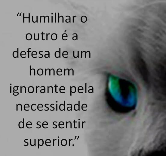 #PensarNaoDoi 

"O que mais me impressiona nos fracos, é que eles precisam de humilhar os outros para se sentirem fortes...!"

Gandhi

Linda tardinha, aos BONS!