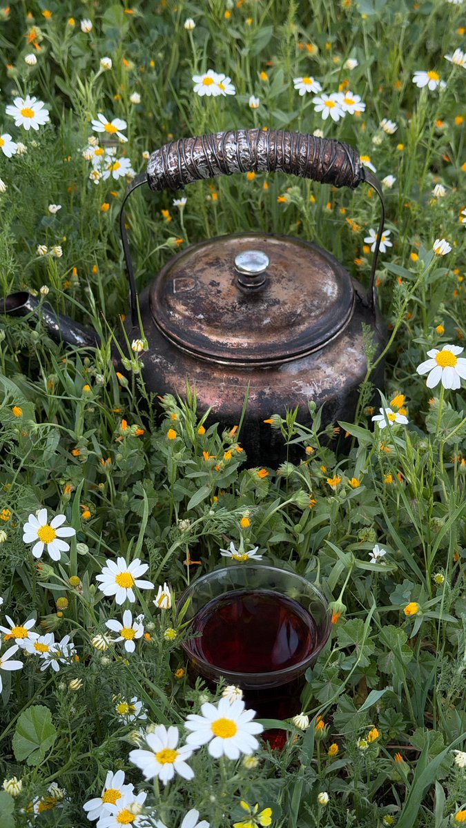 غير المطر والنبت وأجواء الربيع 
— ما فيه شيٍ يستحق أصوّره.