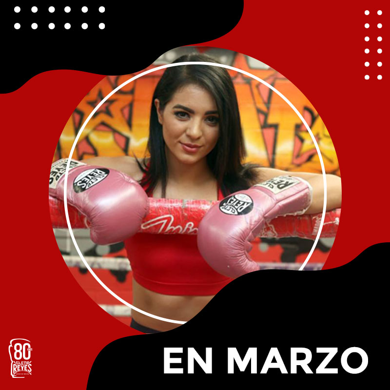 ボクシンググローブ レイジェス(Cleto Reyes) (@CletoReyesJapan