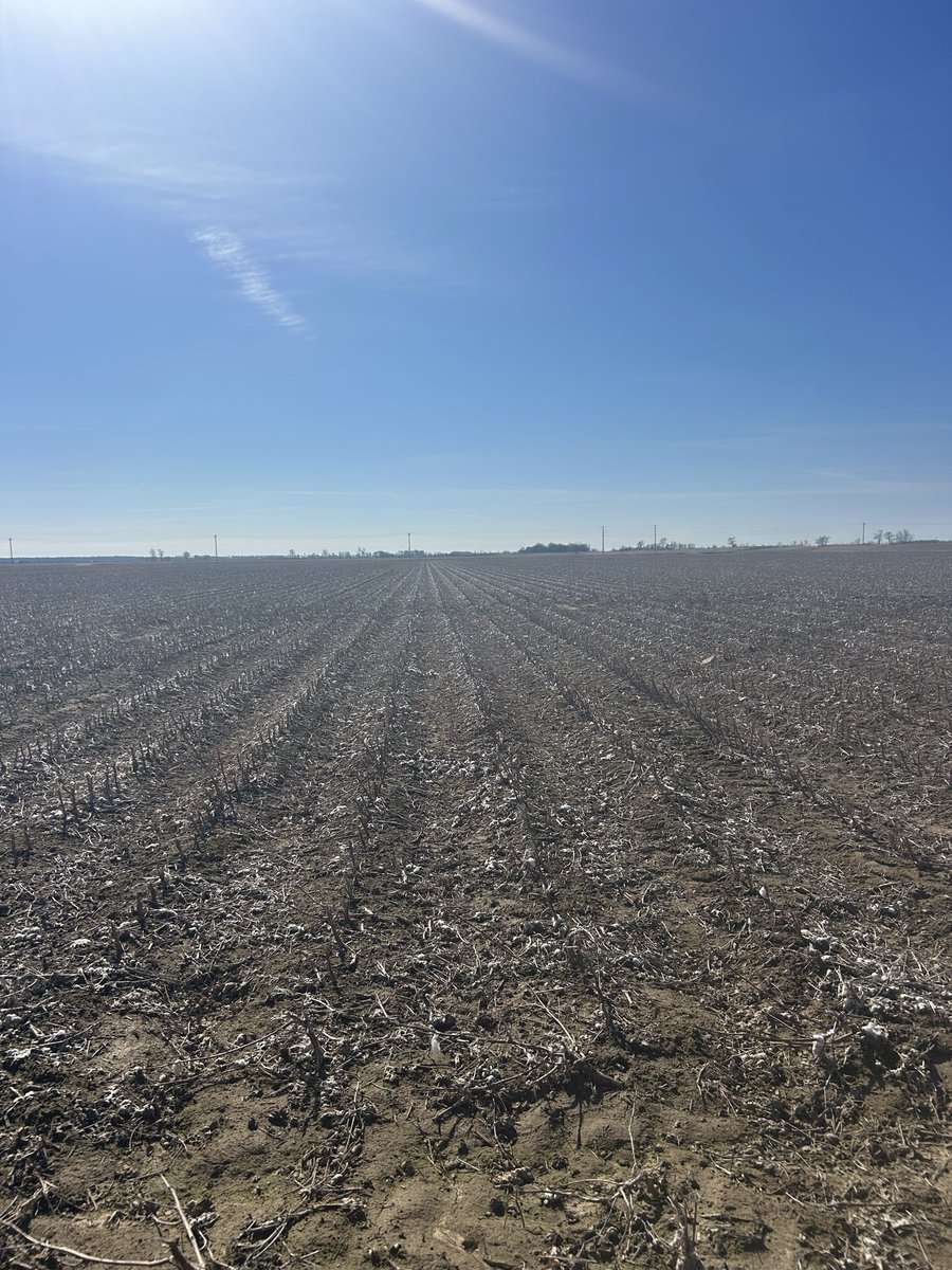 The Notorious H.Y.D.R.O. tweet media