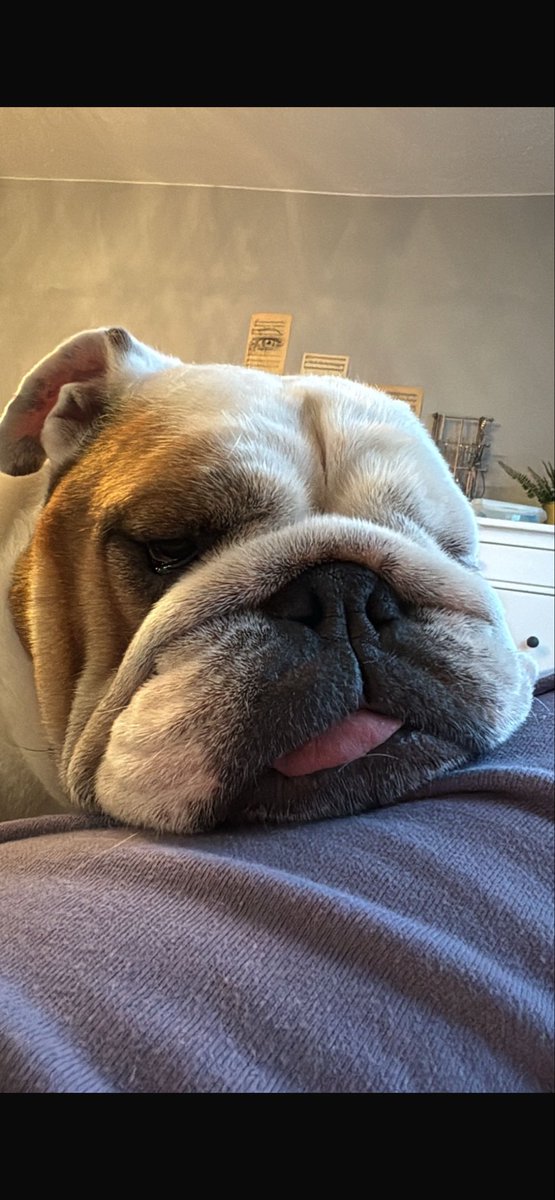 Mundsen (@benice2mee) on Twitter photo 