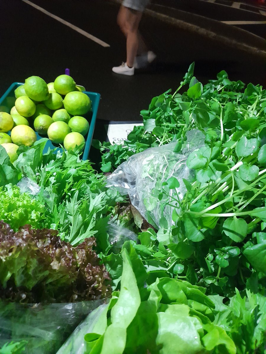 BevLettucePatch's tweet photo. Large watercress at the market this week https://t.co/6Aancam8YR