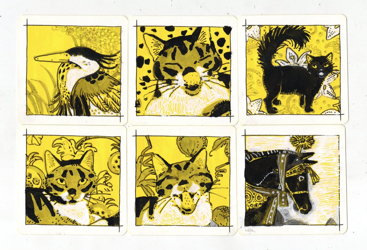 채소(chae-so) tweet media