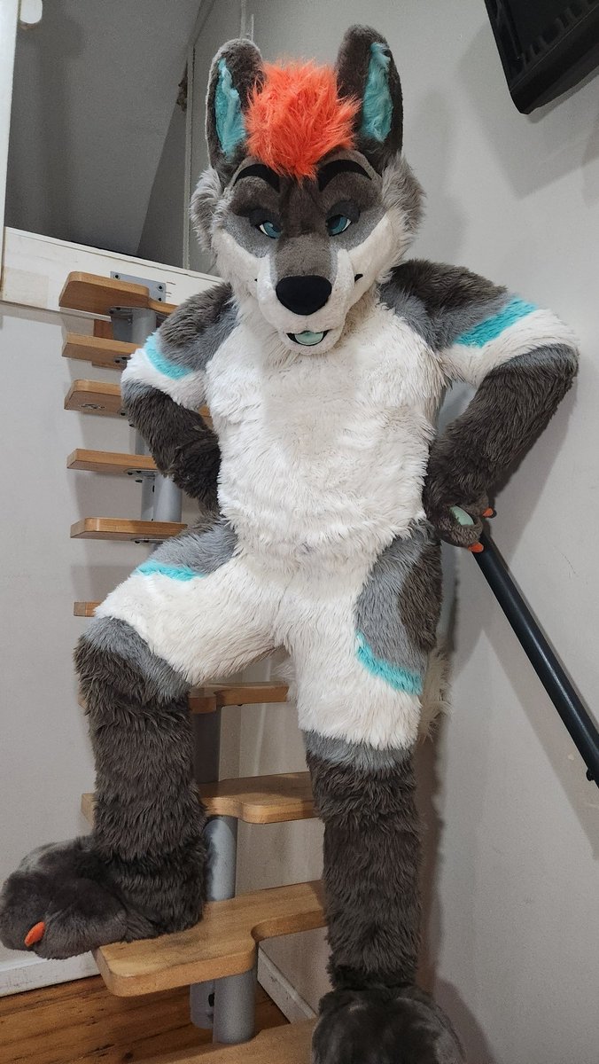 𓃦 M A J I C 𓃦 (JVCK) 🦊 🔜 YOUR CHEEKS tweet media