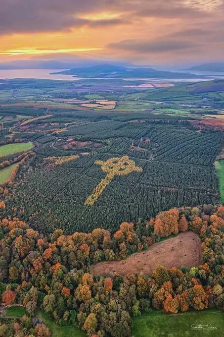 Rainmaker1973's tweet photo. Every autumn, a huge golden cross appears in the forests of County Donegal, Ireland. 

3000 Japanese larch trees were planted among pine trees, creating a cross pattern when the larch trees turn yellow. https://t.co/x3pUNMXmj2