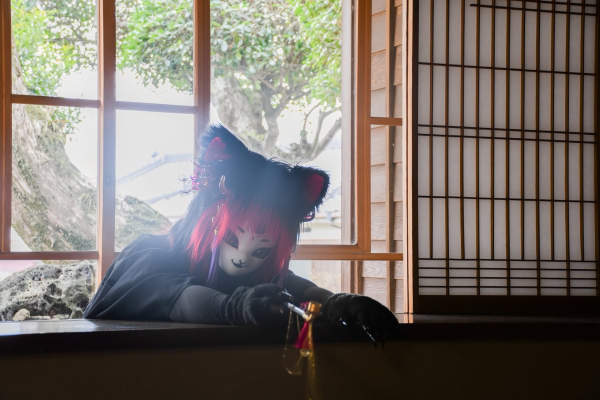 #振れ幅バトルしようぜ

夜中にこっそり〜😺

#徒然時雨
#yokai