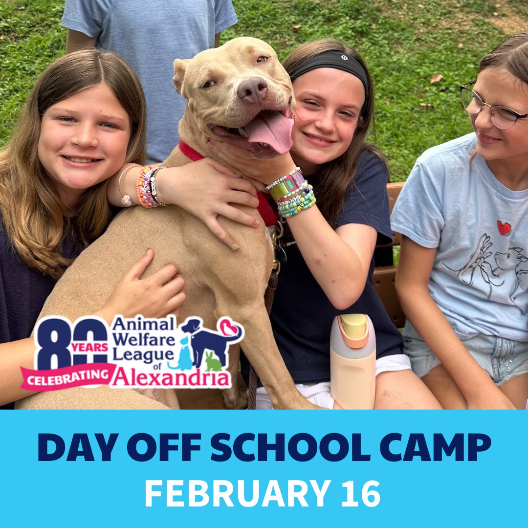 AWLA Alexandria tweet media