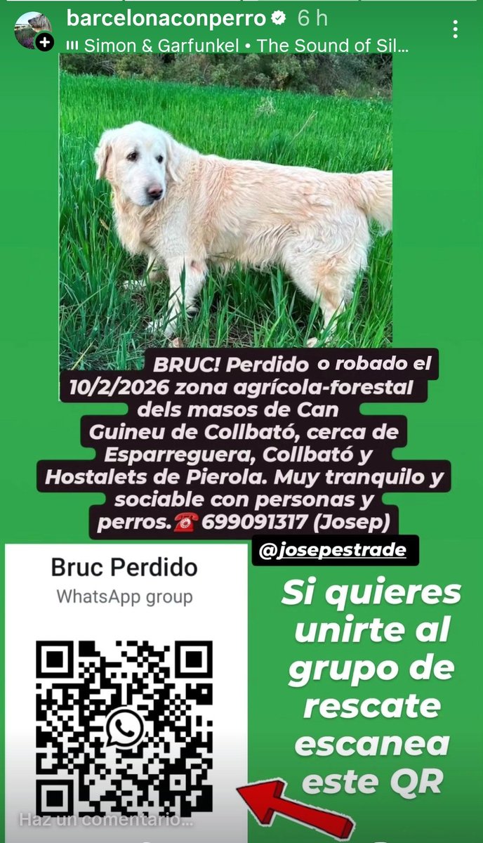 Por favor difundir, y si os quereis añadir al grupo de voluntarios de búsqueda  escanead el QR.