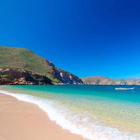 Chocolates Táchira 🌰 tweet media