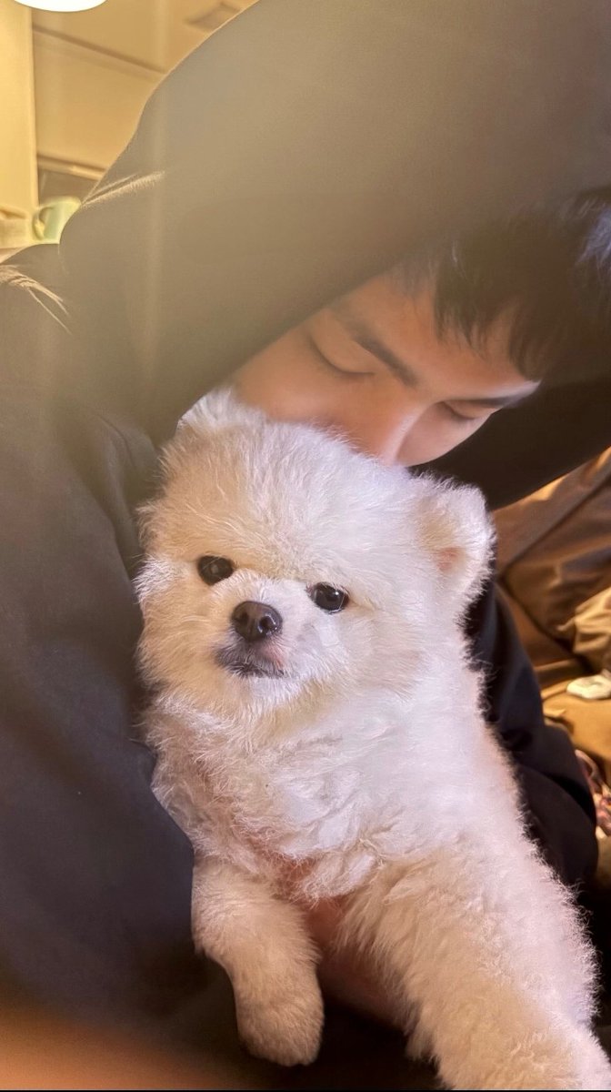 구준회 ジュネ KOO JUNHOE JUNE tweet media