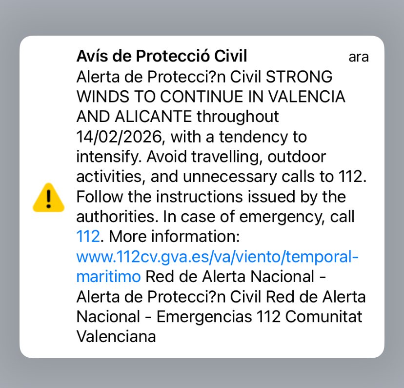 Cèlia Cerezo 🍒 Cherrytree tweet media