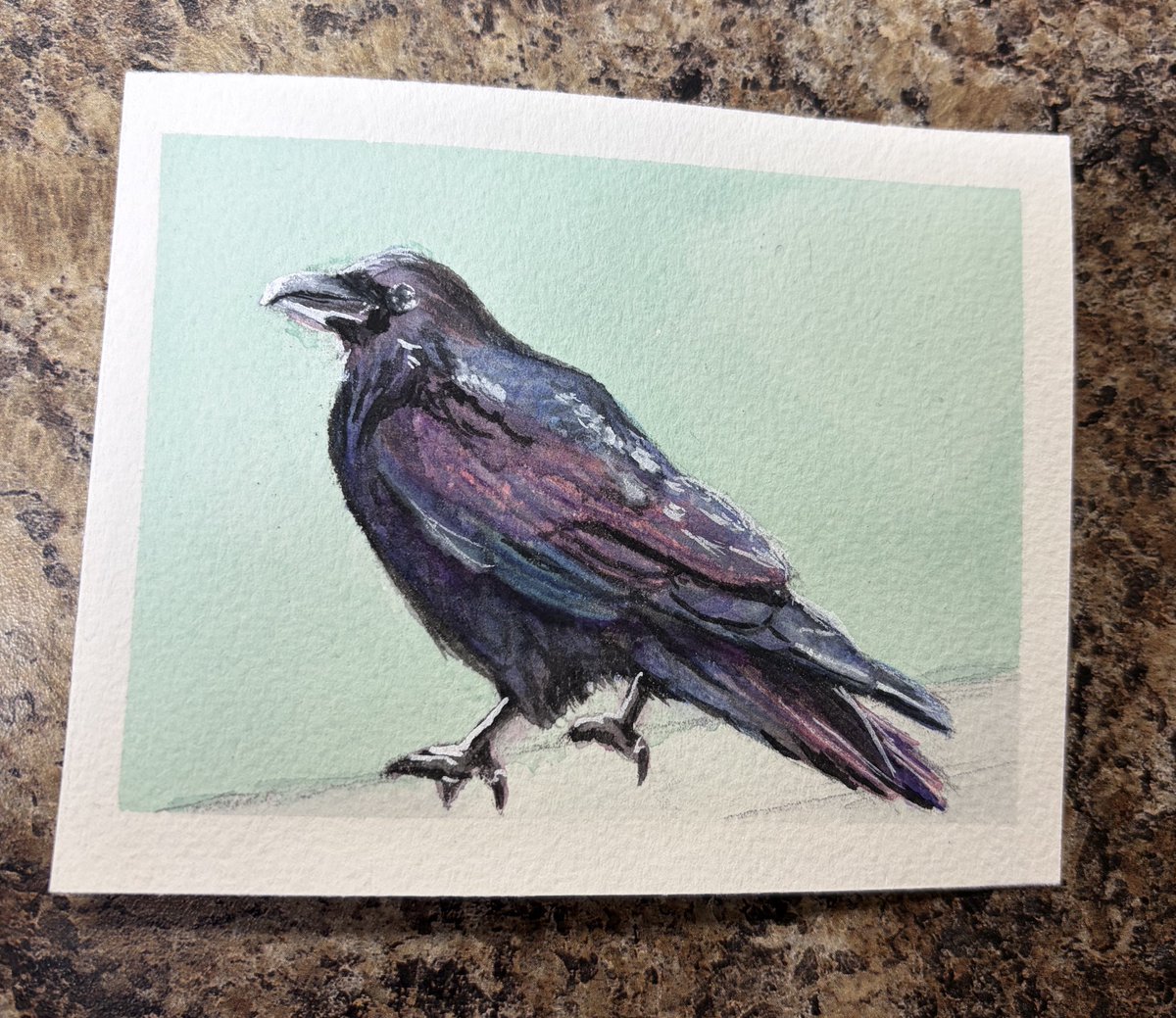 Coffee 🐈‍⬛💫 comms open tweet media