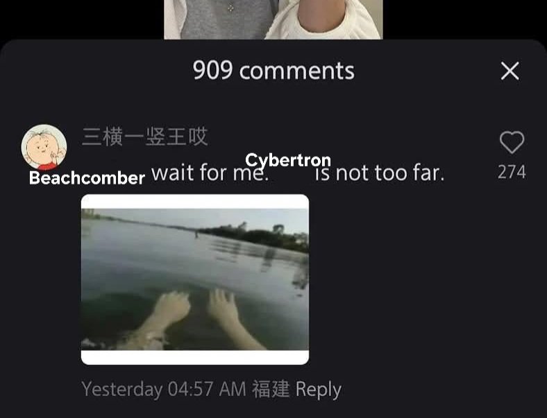 beach__comber's tweet image. 