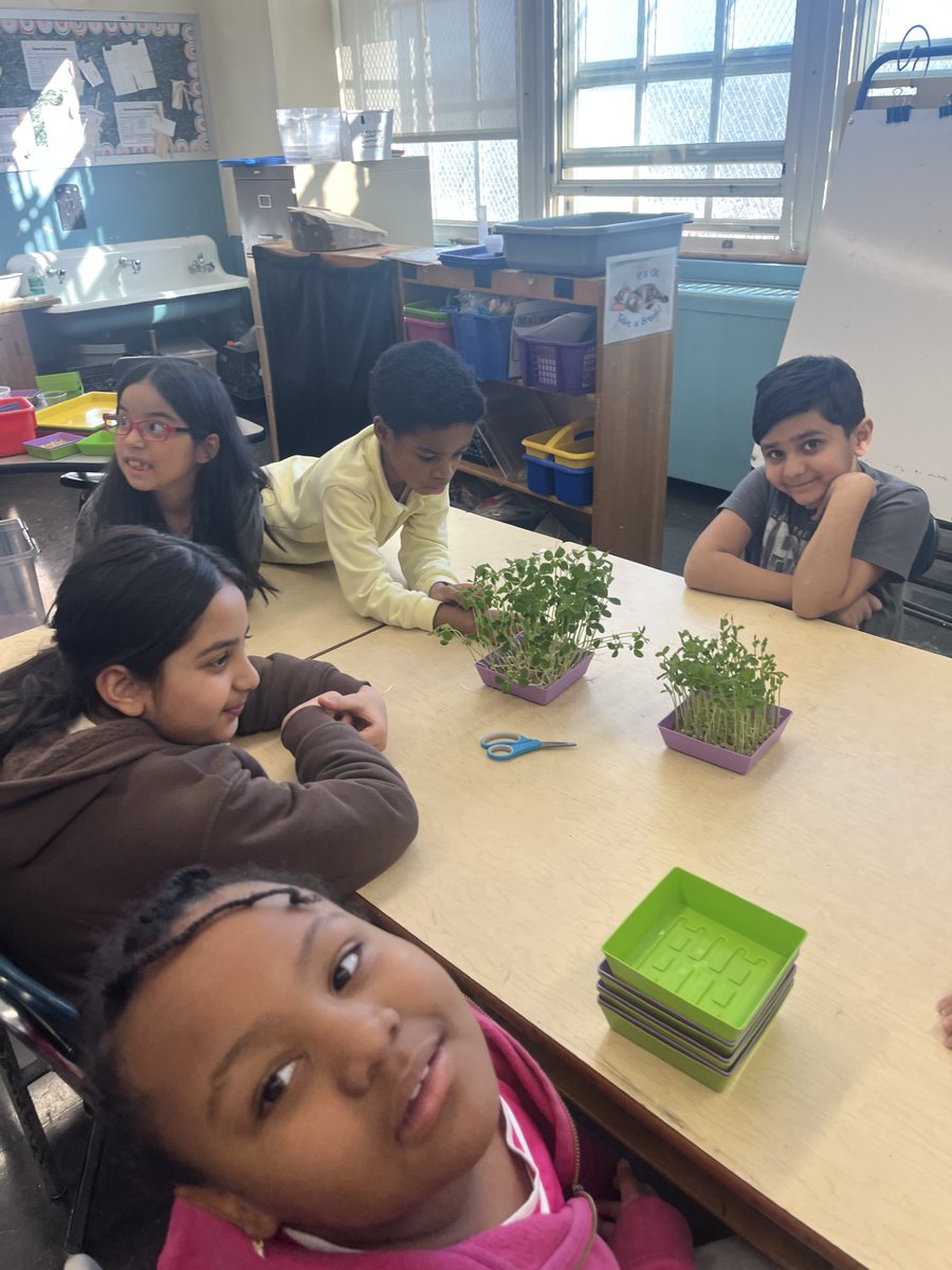 PS 165 Queens tweet media