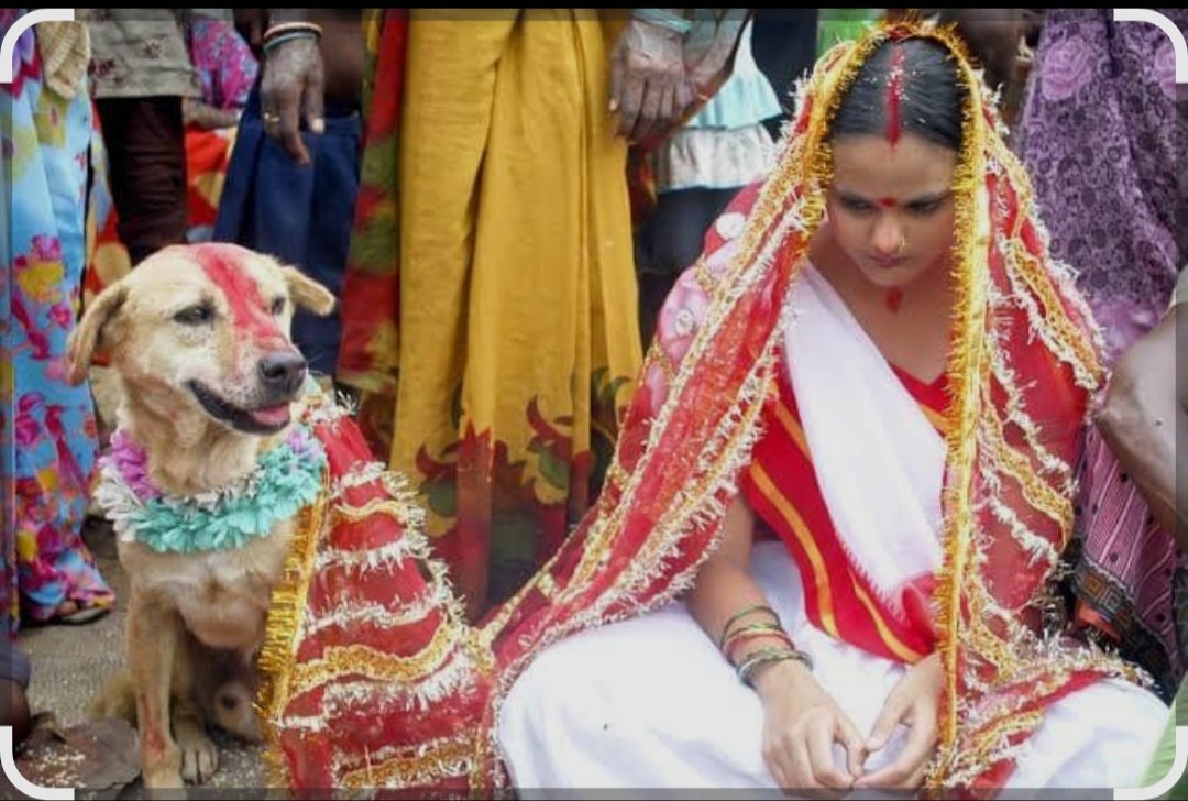 dhh_azeem's tweet photo. @HindutvaDon_ Bhuki to Hindu Girls hai😝😝 https://t.co/B0fbpVaThB