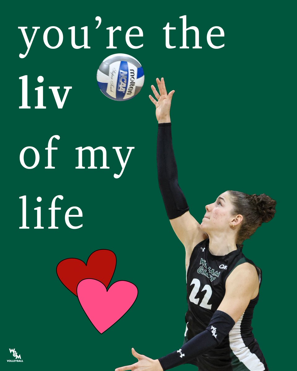 William & Mary Tribe Volleyball tweet media