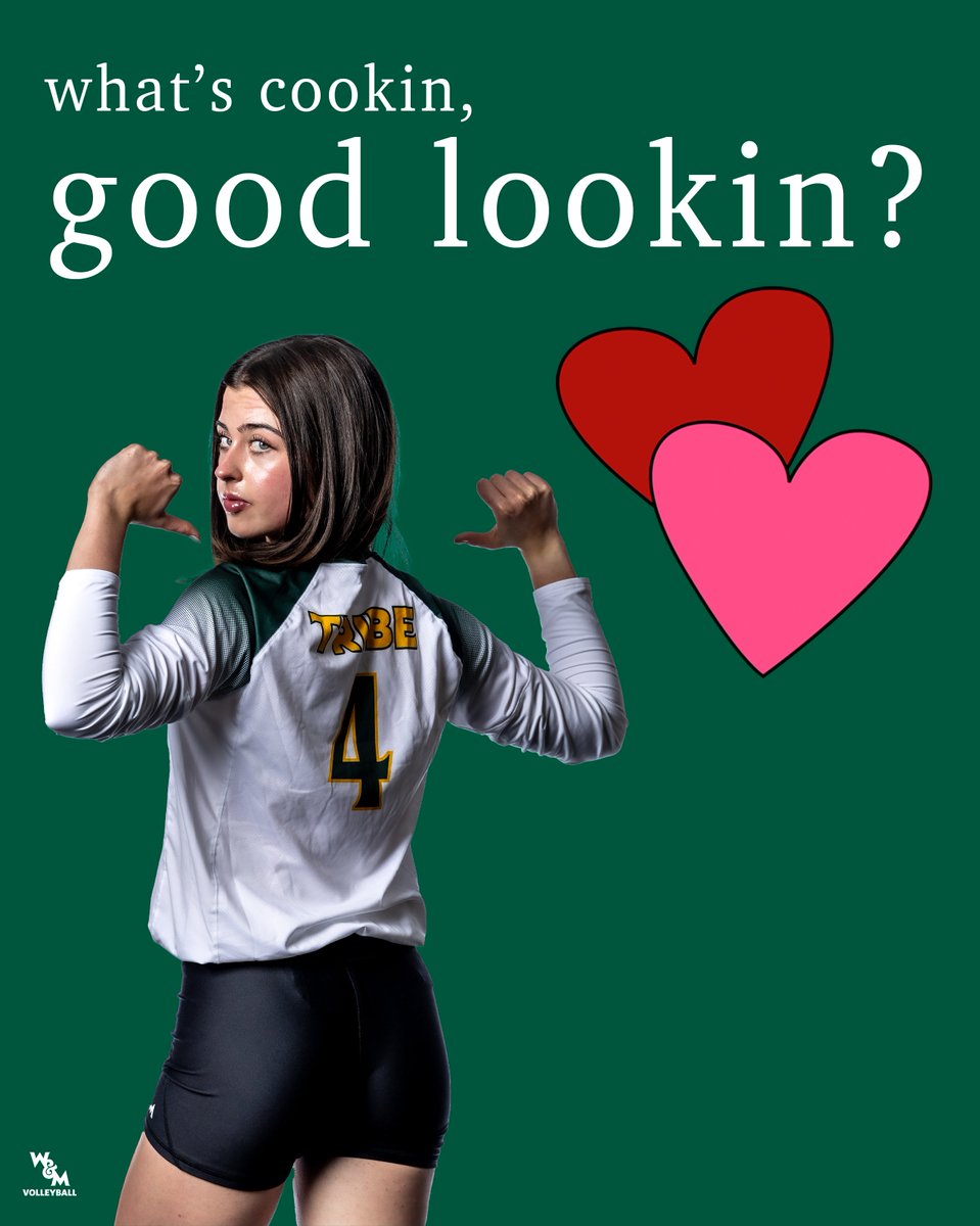 William & Mary Tribe Volleyball tweet media